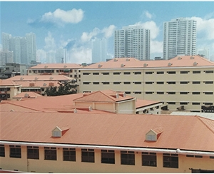 合成樹脂瓦